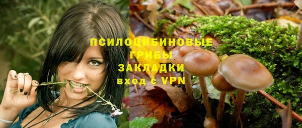 каннабис Богданович
