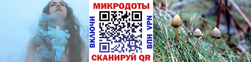 Купить где  Тихвин  Псилоцибиновые грибы мицелий 